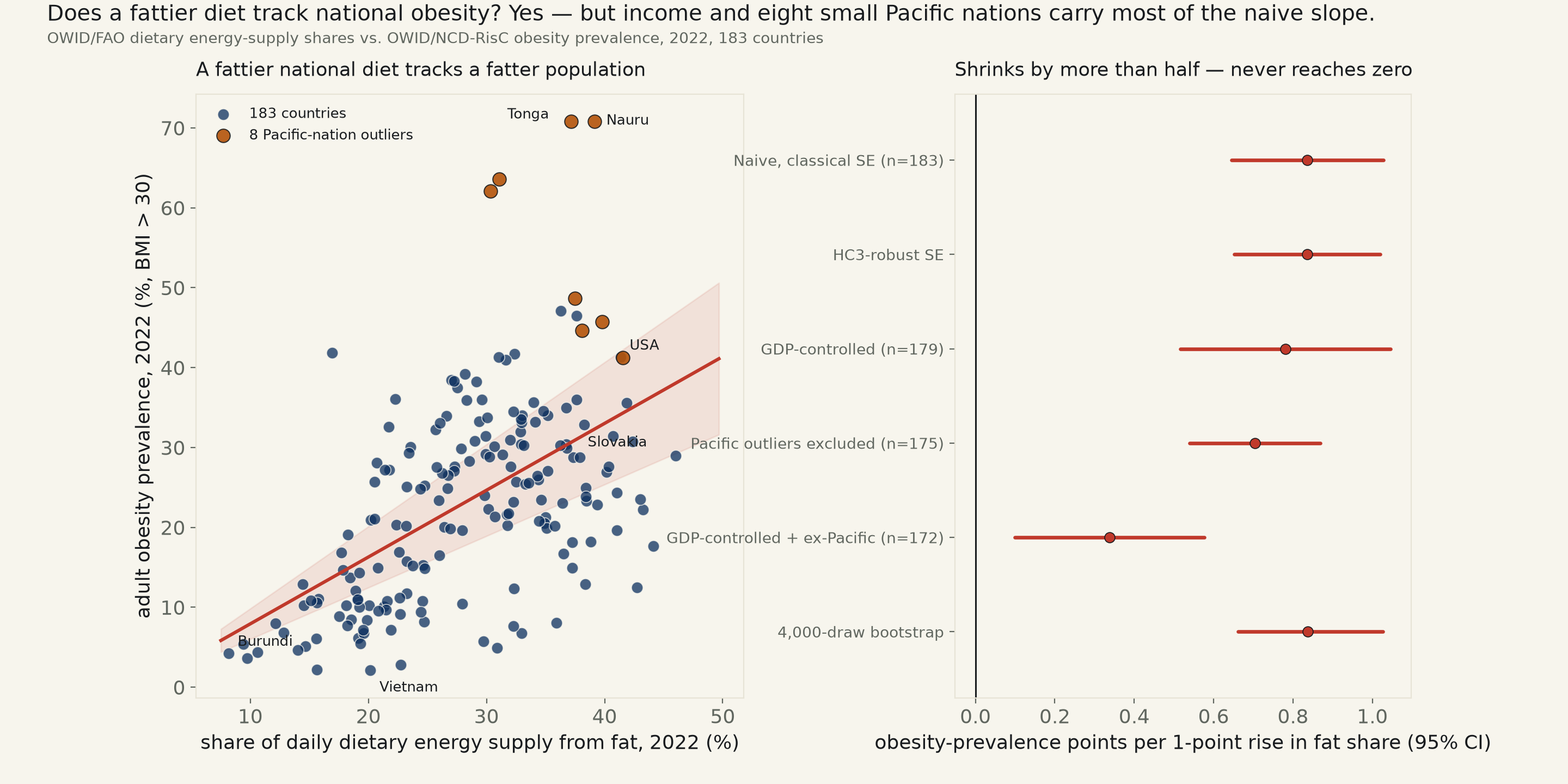 Two-panel chart. Left: scatter of adult obesity prevalence against dietary fat share across 183 countries, with a positive OLS line and a wide confidence band; eight Pacific-nation outliers are marked in a different color, with Tonga and Nauru above 70% obesity; Burundi, Slovakia, Vietnam, and the USA are labeled. Right: forest plot of six specifications of the slope — naive, HC3-robust, GDP-controlled, Pacific-excluded, both combined, and a bootstrap — all excluding zero but shrinking substantially once GDP and the Pacific outliers are both accounted for.